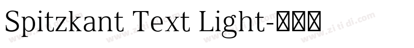 Spitzkant Text Light字体转换